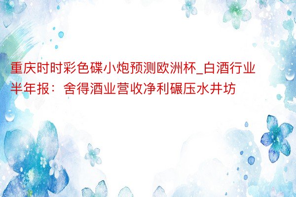 重庆时时彩色碟小炮预测欧洲杯_白酒行业半年报：舍得酒业营收净利碾压水井坊