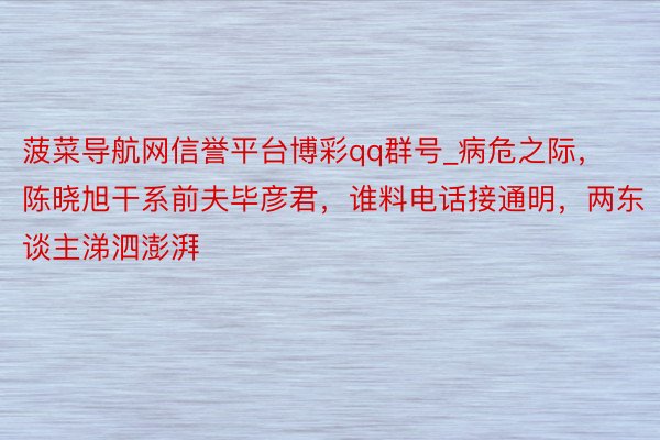 菠菜导航网信誉平台博彩qq群号_病危之际，陈晓旭干系前夫毕彦君，谁料电话接通明，两东谈主涕泗澎湃