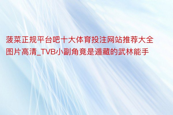 菠菜正规平台吧十大体育投注网站推荐大全图片高清_TVB小副角竟是遁藏的武林能手