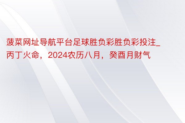 菠菜网址导航平台足球胜负彩胜负彩投注_丙丁火命，2024农历八月，癸酉月财气