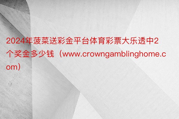 2024年菠菜送彩金平台体育彩票大乐透中2个奖金多少钱（www.crowngamblinghome.com）